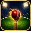 5TO20 Cricket