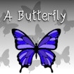 A Butterfly