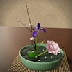 Quiet Ikebana